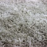 Professional Carpet Cleaning Helps With Allergy Season