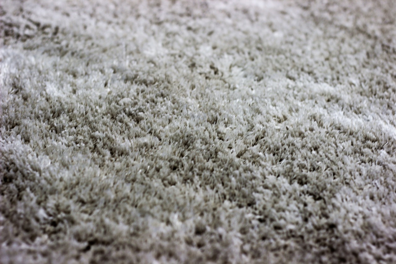 Professional Carpet Cleaning Helps With Allergy Season