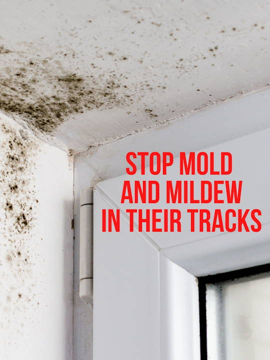 Clorox solution stops mold and mildew in their tracks
