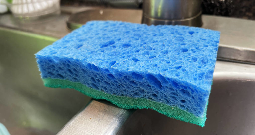 Kitchen sponges can harbor germs if not disinfected regularly.